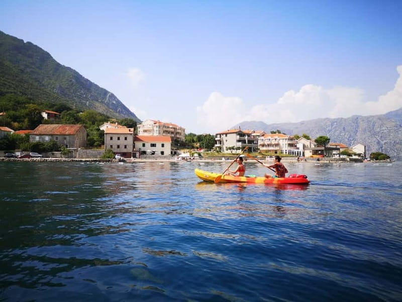 Kotor: Guided Kotor Bay Kayaking Tour - Key Points