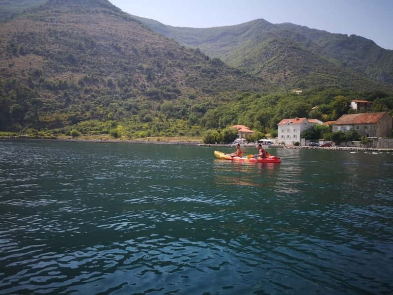 Kotor: Guided Kotor Bay Kayaking Tour - Guides and Their Role in Enriching the Experience