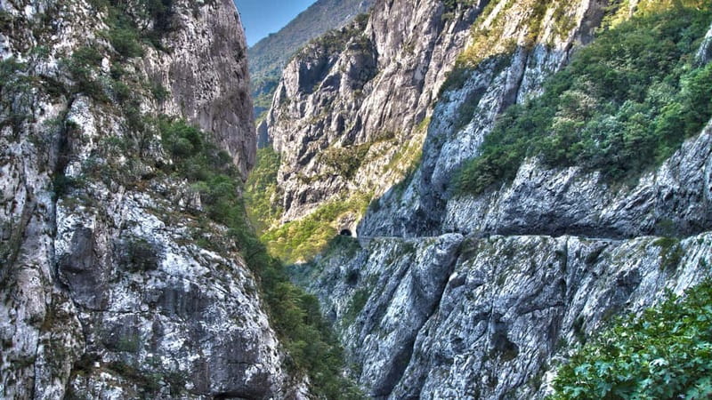 Kotor: Lake Skadar and Biograd Day Trip & Boat Ride - Exploring Lake Biograd in Biogradska Gora National Park