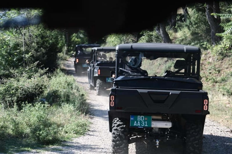 Kotor: Panoramic adventure with off road Buggy - Key Points