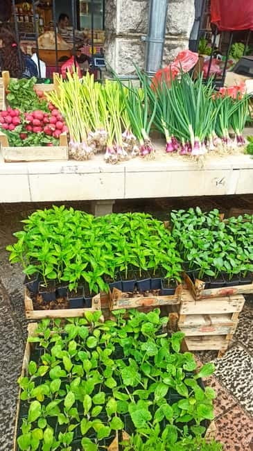 Kotor: Private Walking Tour with Wine and Food Tasting - Logistics and Meeting Details