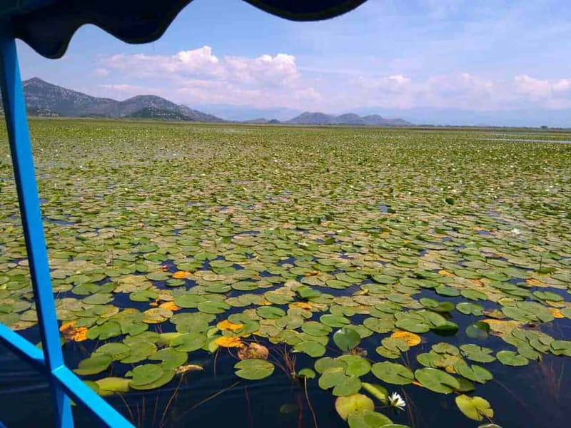 Kotor: Skadar Lake National Park with Wine Tasting - Explore Montenegro’s Scenic Beauty with the Kotor: Skadar Lake National Park Tour