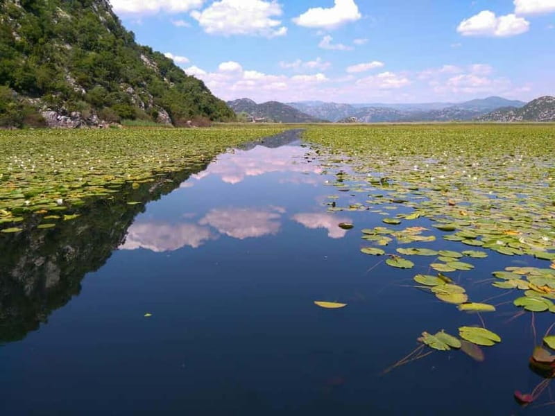 Kotor: Skadar Lake National Park with Wine Tasting - The Boat Ride on Skadar Lake: Wildlife and Water Lily Views