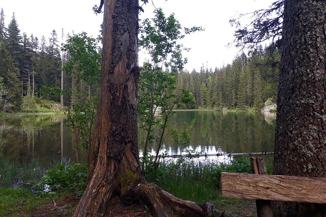 Kotor to Durmitor - Black Lake & Djurdjevica Tara Bridge tour - Optional Zip Line Over the Tara Canyon