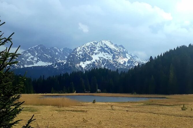 Kotor to Durmitor - Black Lake & Djurdjevica Tara Bridge tour - Explore Durmitor National Park’s Diverse Terrain