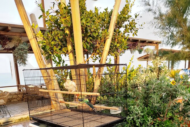 kourouta sandy beach all included from Katakolo port - Timing, Pacing, and Duration: Making the Most of Your Beach Time