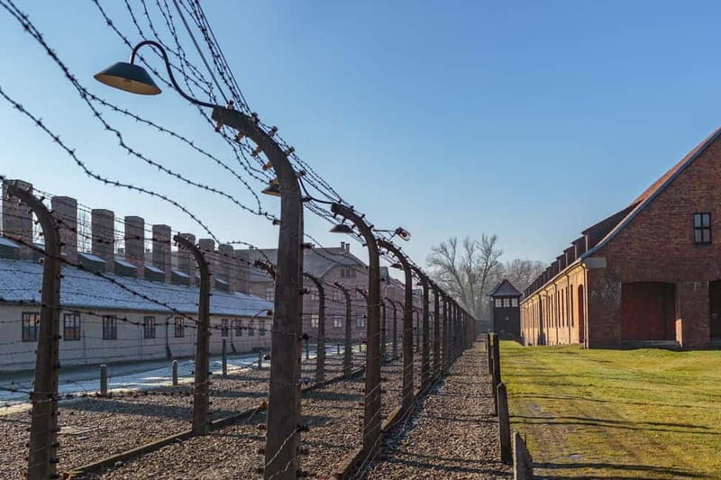 Krakow: Auschwitz-Birkenau Entry Ticket and Transfer - Key Points
