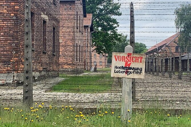 Krakow: Auschwitz-Birkenau Guided Tour & Hotel Pick Up - Comparing This Tour to Similar Auschwitz Visits