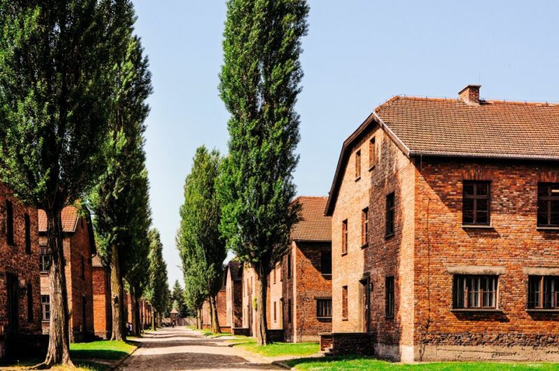 Krakow: Auschwitz-Birkenau Live Guided Tour & Hotel Pickup - Guided Tours and Expert Narration