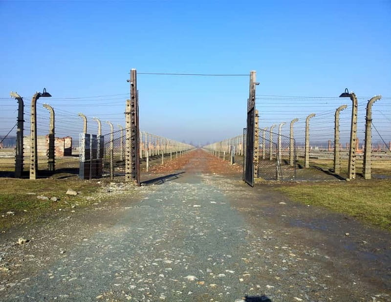 Krakow: Auschwitz-Birkenau Memorial Tour with Optional Lunch - The Auschwitz-Birkenau Tour Offers an In-Depth Look at the Memorial Sites