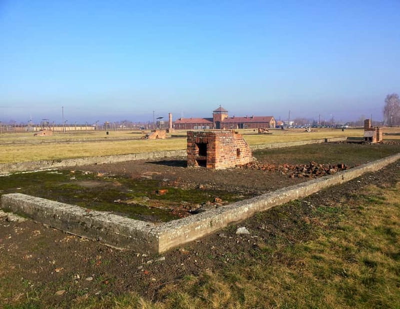 Krakow: Auschwitz-Birkenau Memorial Tour with Optional Lunch - Additional Inclusions and Flexibility Options