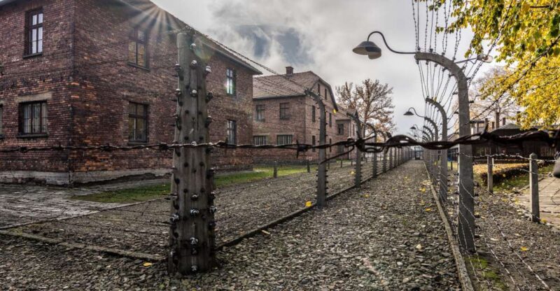 Kraków: Auschwitz-Birkenau & Salt Mine Full-Day Guided Tour - Balancing the Day with Lunch Break and Rest