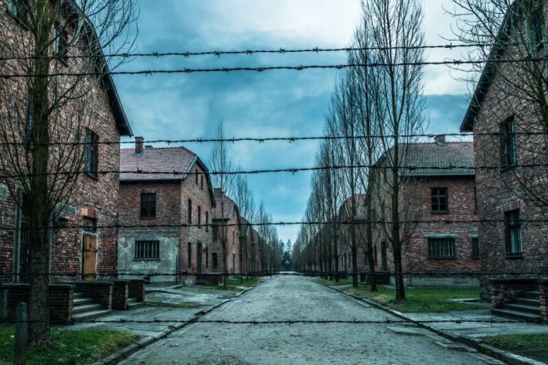 Kraków: Auschwitz-Birkenau & Salt Mine Full-Day Guided Tour - Guides and Educational Insight