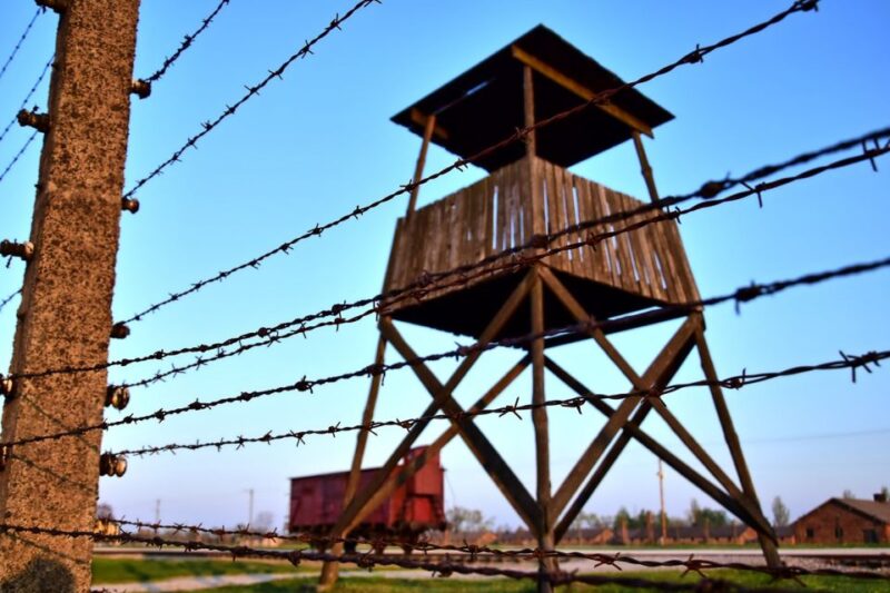 Kraków: Auschwitz-Birkenau & Salt Mine Full-Day Guided Tour - The Value and Overall Experience