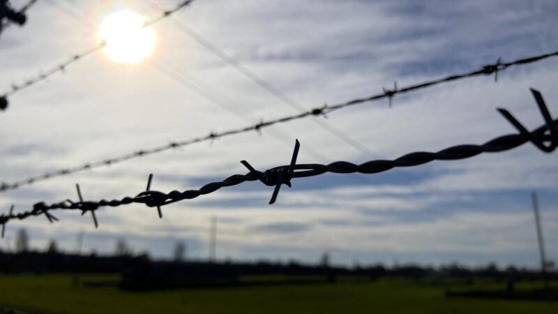 Krakow: Auschwitz-Birkenau & Wieliczka Salt Mine with Lunch - What Makes This Tour Stand Out