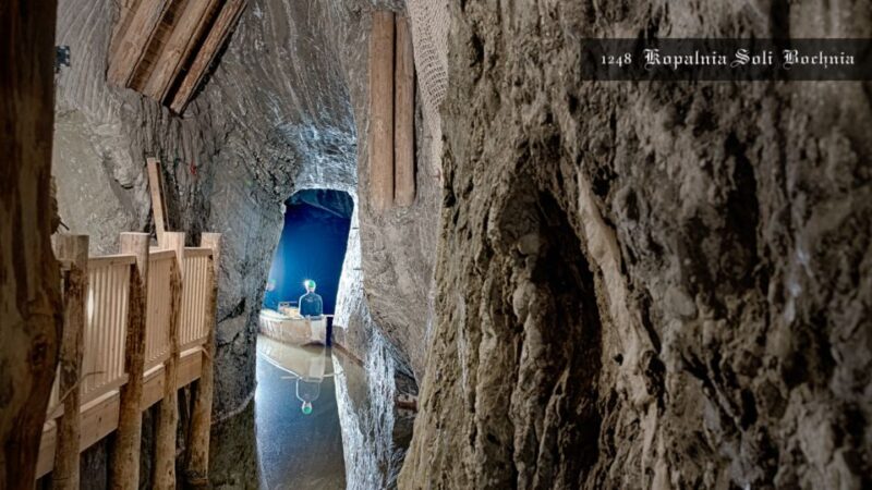Kraków: Bochnia Royal Salt Mine Private Tour - Tour Highlights: Guided Experience and Multimedia Exhibits