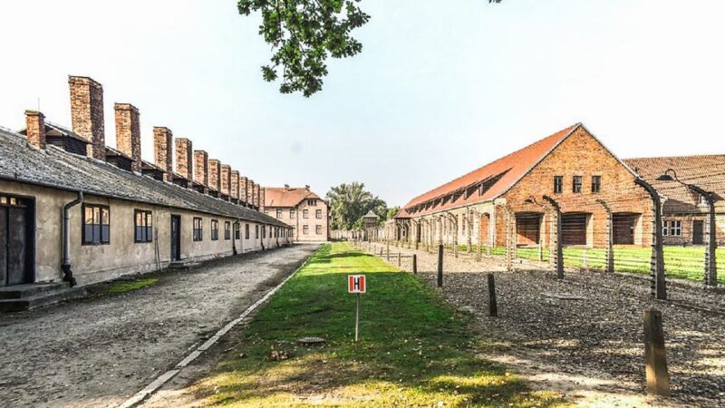 Krakow: Full-Day Auschwitz-Birkenau & Salt Mine Guided Tour - Final Thoughts on the Auschwitz-Birkenau & Salt Mine Tour