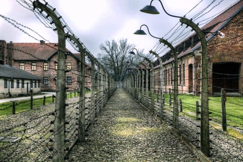 Krakow: Guided Auschwitz-Birkenau Tour - Minivan Transport - Key Points