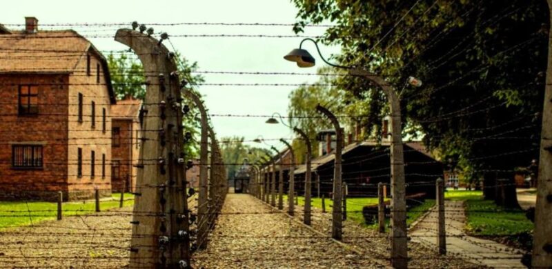 Krakow: Guided Auschwitz-Birkenau Tour - Minivan Transport - Visiting Birkenau: The Extent of the Camps