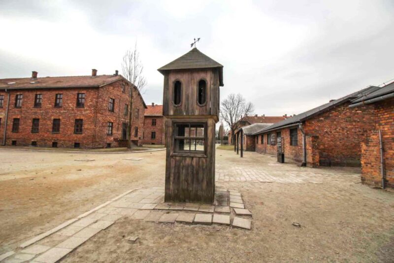 Krakow: Guided Auschwitz-Birkenau Tour - Minivan Transport - Practical Tips for Participation