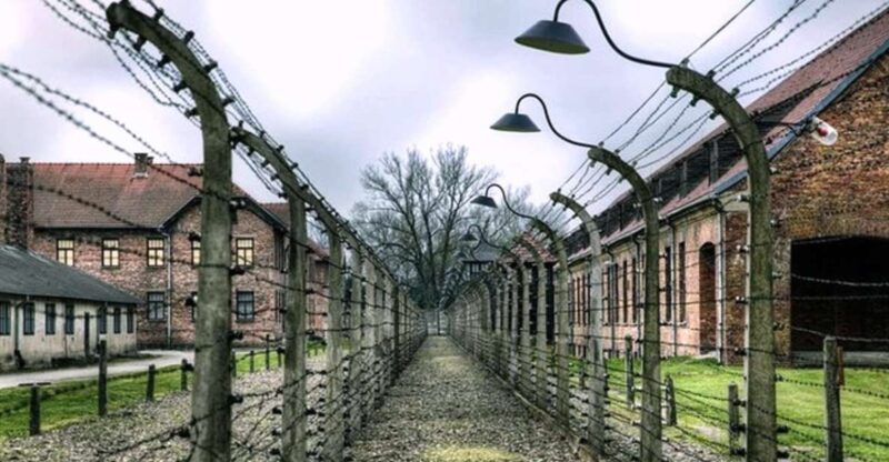 Krakow: Guided Auschwitz-Birkenau Tour - Minivan Transport - Tour Reviews and Customer Satisfaction
