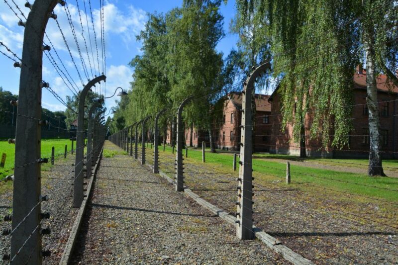 Krakow: Guided Auschwitz Birkenau Tour - Key Points
