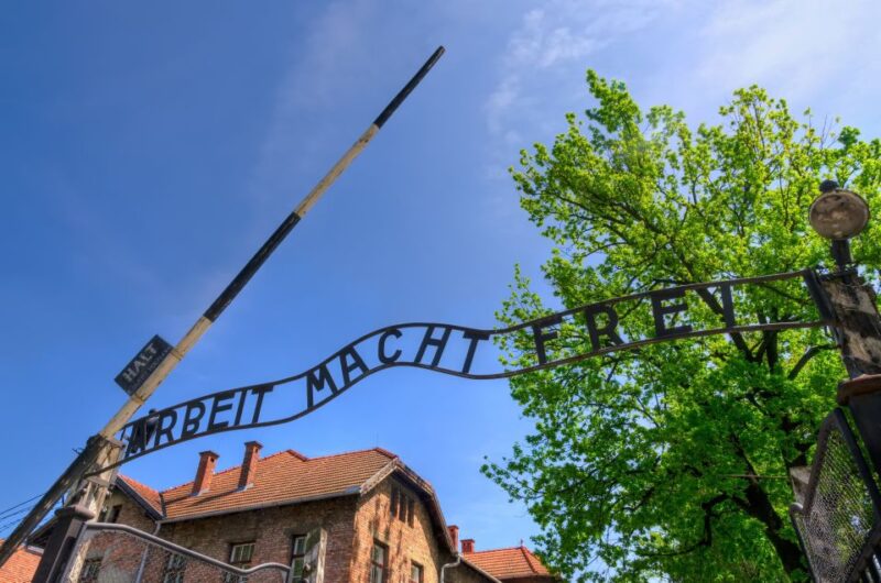 Krakow: Guided Auschwitz Birkenau Tour - The Logistics: Meeting Point, Transportation, and Group Size