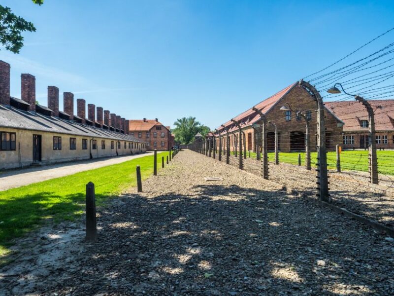 Krakow: Guided Auschwitz Birkenau Tour - The Experience of the Guided Tour: Atmosphere and Educational Value