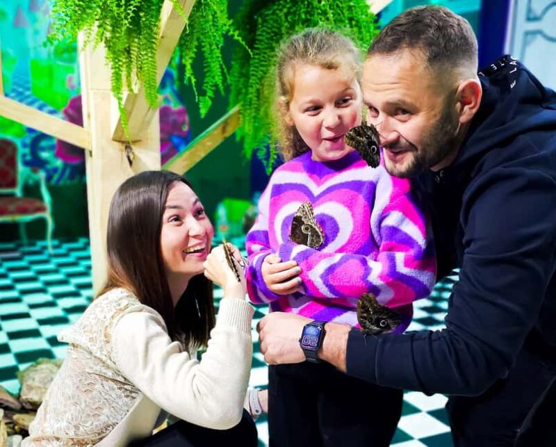 Krakow in Lens VR Experience, Glass Maze and Vortex Tunnel - Butterfly Museum: A Feast for the Senses