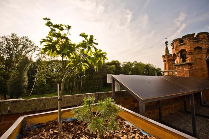 Kraków: Kociuszko Mound Skip-the-Line Entry Ticket - Practical Details: Access and Timing