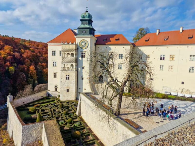 Krakow: Magical day with Alpacas, Castle & Sunset on Water - Meeting Alpacas in the Countryside