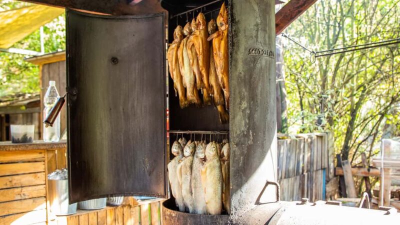 Krakow: Magical day with Alpacas, Castle & Sunset on Water - Scenic Walk in Ojców National Park & Traditional Smoked Trout