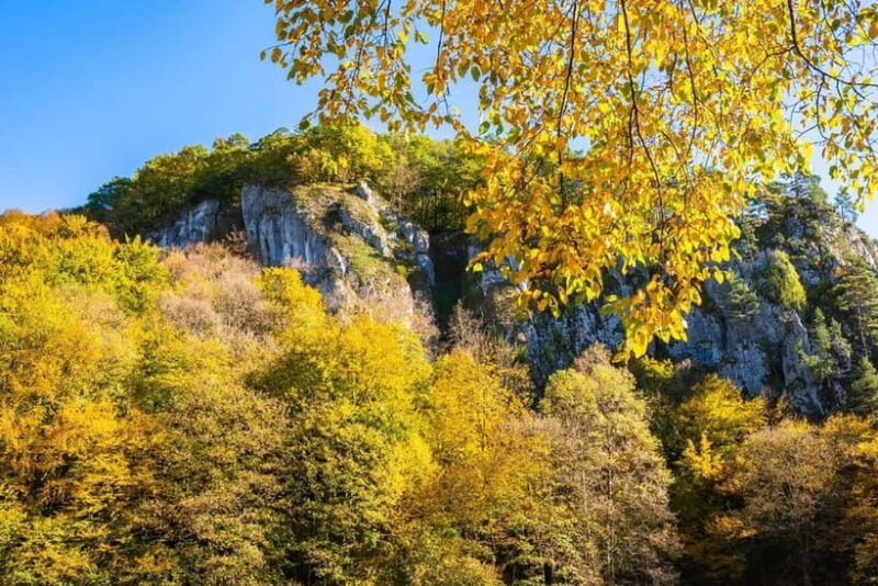 Krakow: Ojcow National Park & Pieskowa Skaa Castle Tour - Logistics and Group Details