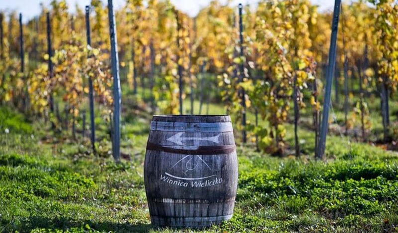 Kraków: Private Lavender Fields & Vineyard Tasting Tour - Key Points