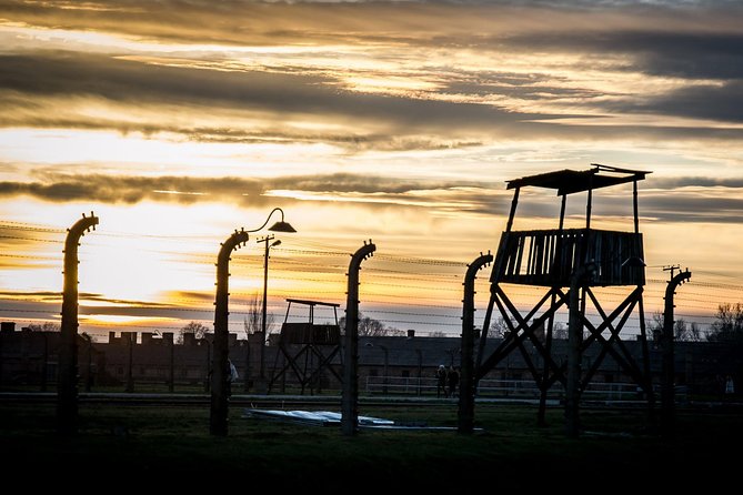 Krakow to Auschwitz Birkenau Guided Tour with Ticket Hotel Pickup - Inside Auschwitz and Birkenau: The Guided Experience