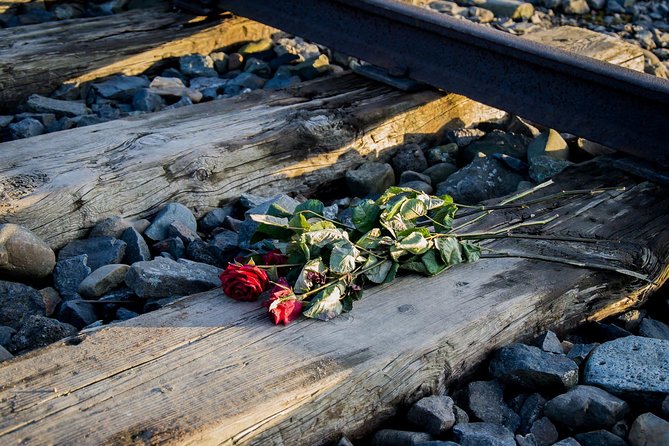 Krakow to Auschwitz Birkenau Guided Tour with Ticket Hotel Pickup - Pacing and Review Feedback
