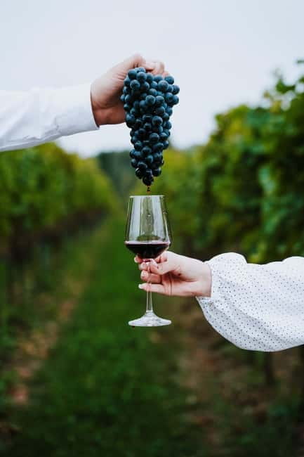 Krakow: Vineyard Tour with Wine Tasting & Dinner - Pickup and Travel to the Vineyard Near Libi