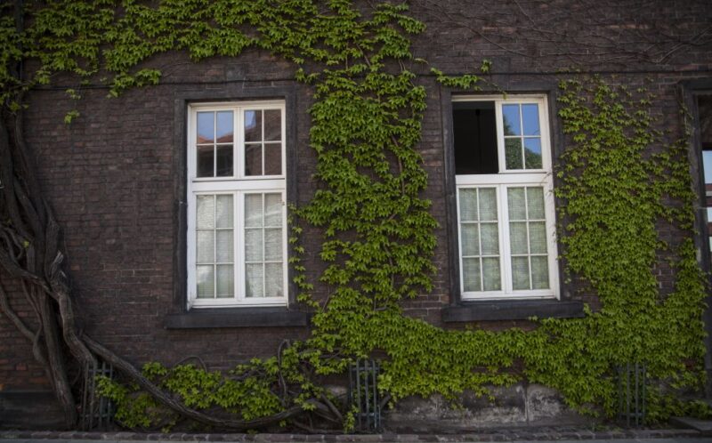 Krakow: Wawel Castle Guided Walking Tour - The Mysterious Bricks and Józef Piłsudski’s Stone