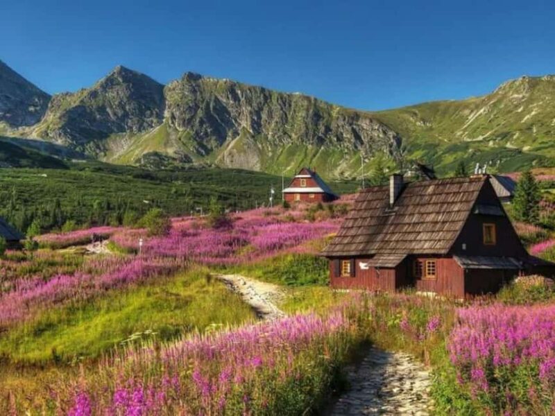 Krakow: Zakopane, Morskie Oko, and Cheese Tasting Tour - Limitations and Considerations