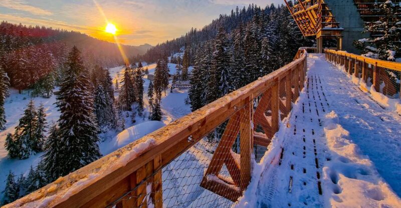 Krakow: Zakopane, Mountains Treetop Walk & Thermal Baths - Key Points