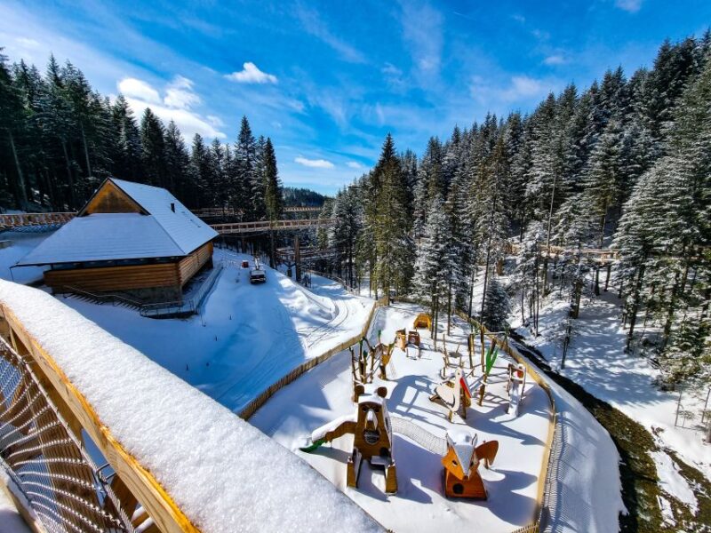 Krakow: Zakopane, Mountains Treetop Walk & Thermal Baths - Logistics: Comfortable Transport and Practical Details