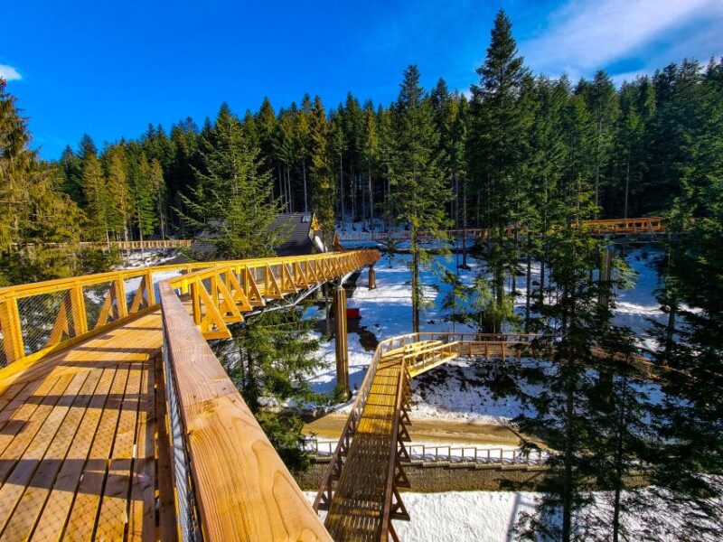 Krakow: Zakopane, Mountains Treetop Walk & Thermal Baths - Final Thoughts on the Zakopane Mountain Treetop Walk & Thermal Baths Tour