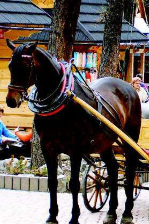 KRAKOW ZAKOPANE TOUR CABLE CAR THERMAL BATHS & HOTEL PICKUP - The Ease of a Fully Organized Day