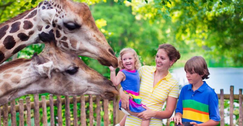 Krakow: Zoo Tour with Private Transport and Tickets - Who Will Benefit Most From This Tour?