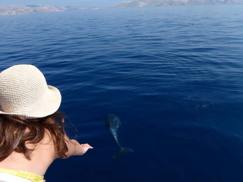 Krk: Boat Trip to Rab & Pag with Sightseeing & Swimming - Key Points