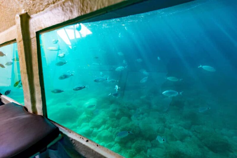 Krk: Yellow Semi-Submarine Tour - The Night Tour with LED Lights