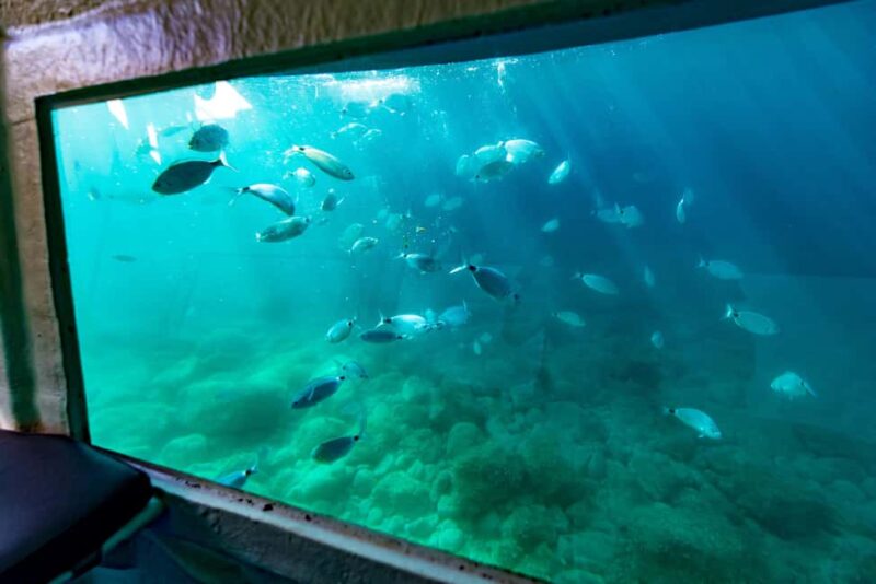 Krk: Yellow Semi-Submarine Tour - Practical Tips for Booking and Participation