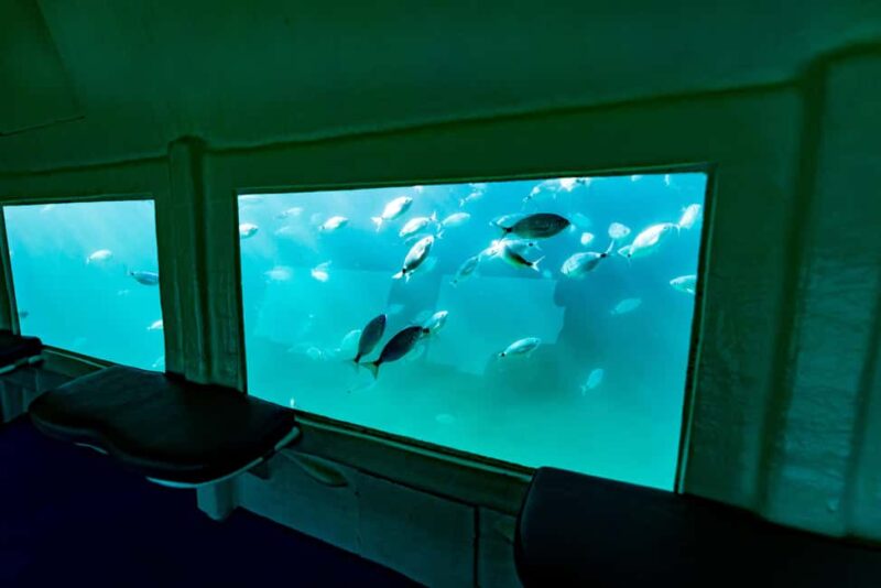 Krk: Yellow Semi-Submarine Tour - Final Thoughts on the Krk Semi-Submarine Adventure