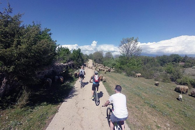 Krka Nationa park by electric bike - The Electric Bike Experience: Comfort and Ease on the Go