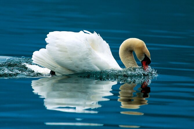 Krka National Park and Skradin - Discovering Skradin’s Old Town and Historic Charm